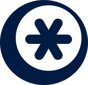 Sample Determination and Findings Icon, asterisk image